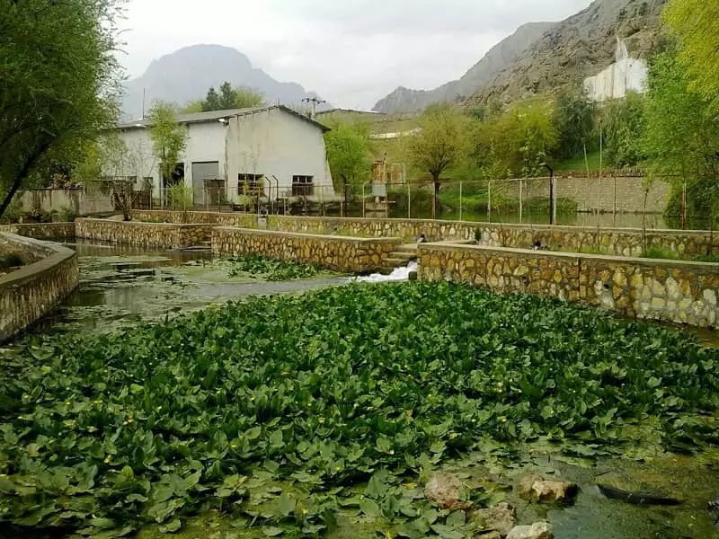 Nature
